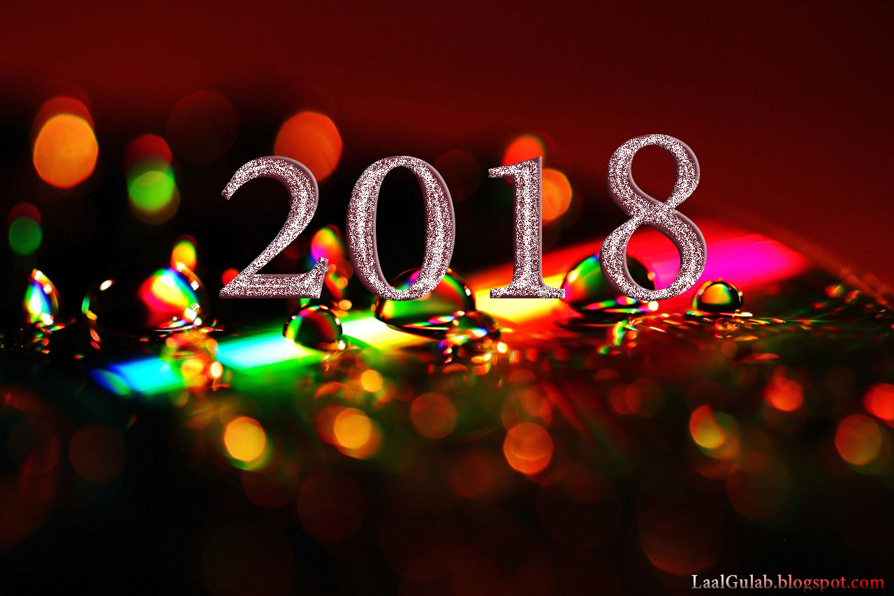 Меню на новый год 2017 2017 Меню на новый год 2017 2017