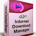 IDM Internet Download Manager 6.23 Build 11 Software Download With Crack And Serial Keys