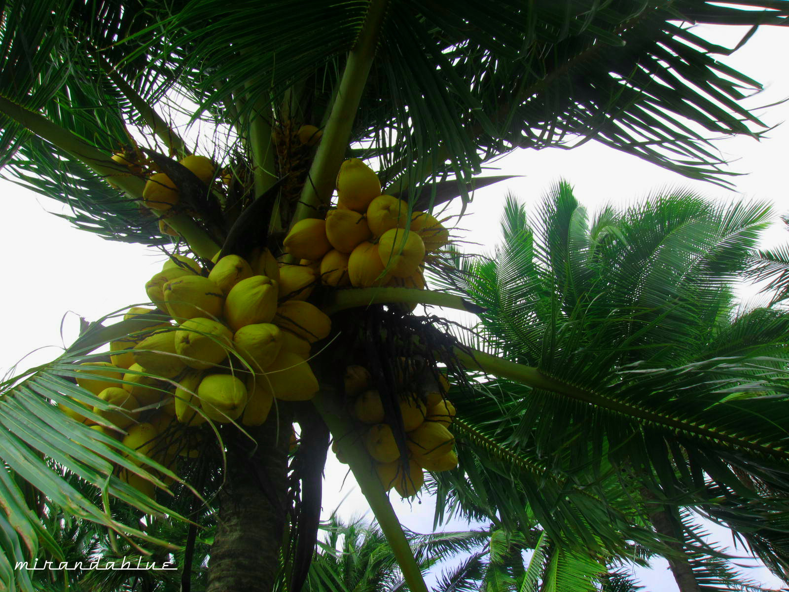 Live in the Moment P/ABC Wednesday