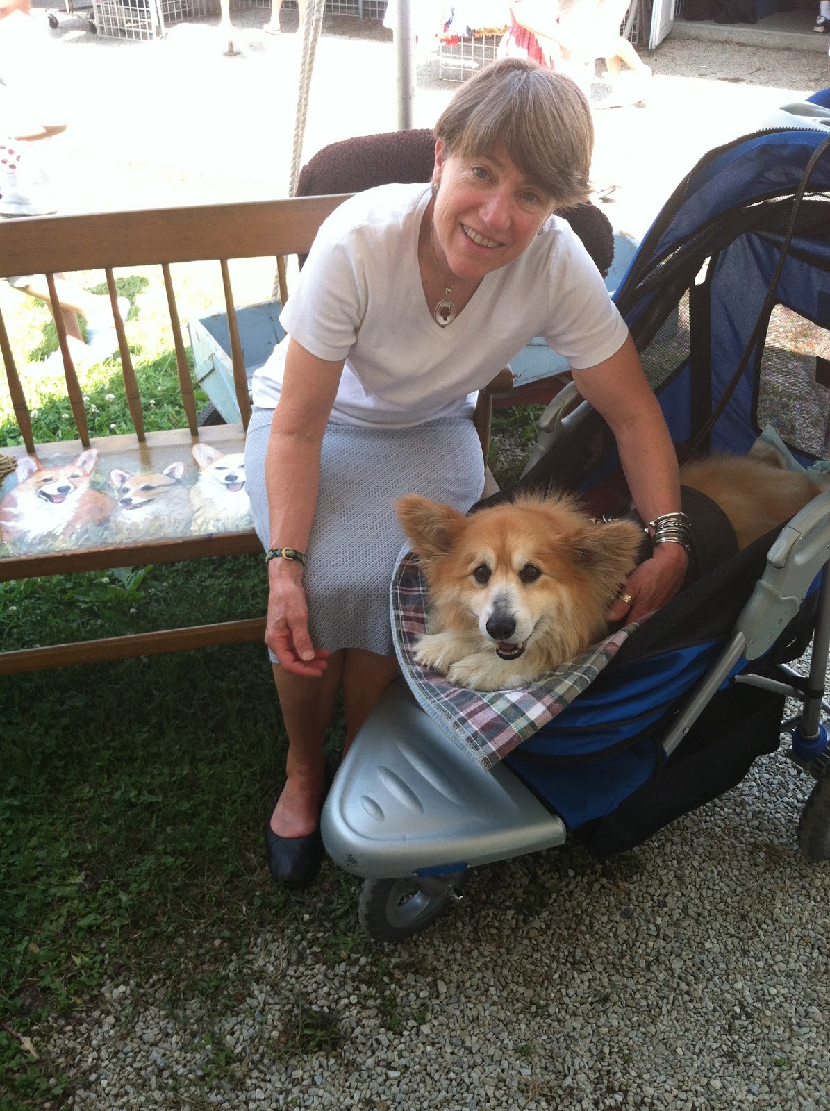 corgi stroller
