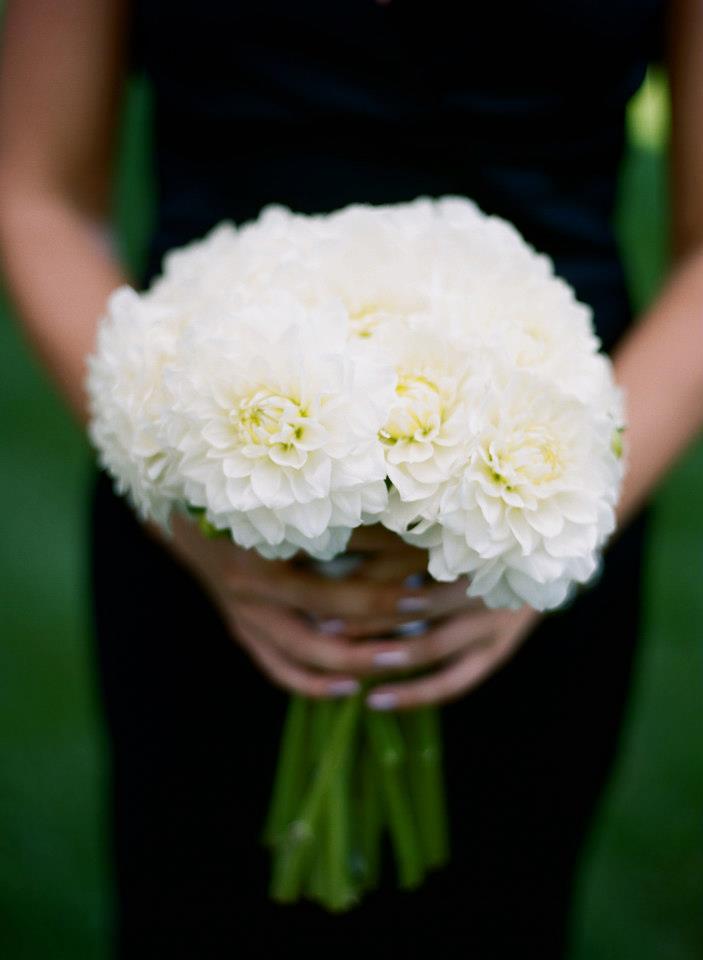 Dana Markos Events Event Design And Fl Styling Bridal Party Differences To Her Bridal Parties Style It All Flowed And Looked Beautiful She Stuck With The Same Colors Like White Flowers Black But