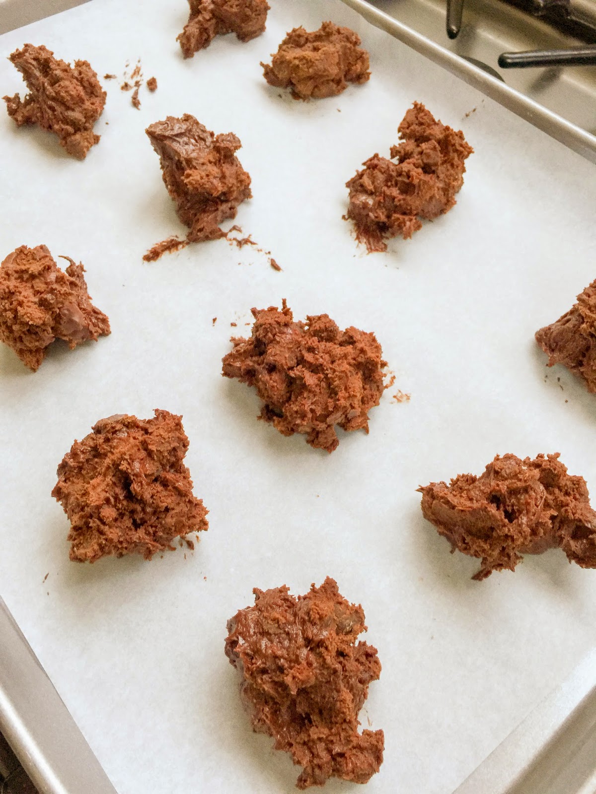 FEAST EVERYDAY David Lebovitz's Chocolate ChocolateChip Cookies by Tom