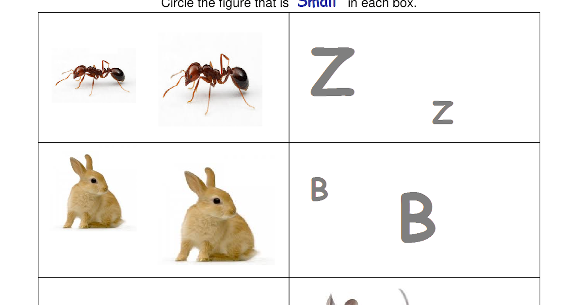 Kindergarten Worksheets: Big and Small Worksheets