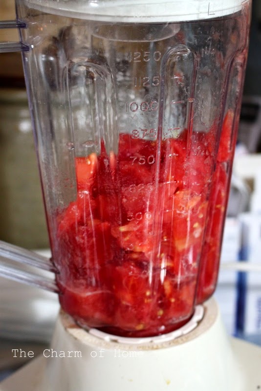 The Charm of Home Easy Tomato Chili (or Fresh Tomato Chili)