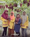 Keren Kelompok Wanita Tani Ubah Kampung Biasa Jadi Kampung Anggur I Lihatsaja.com