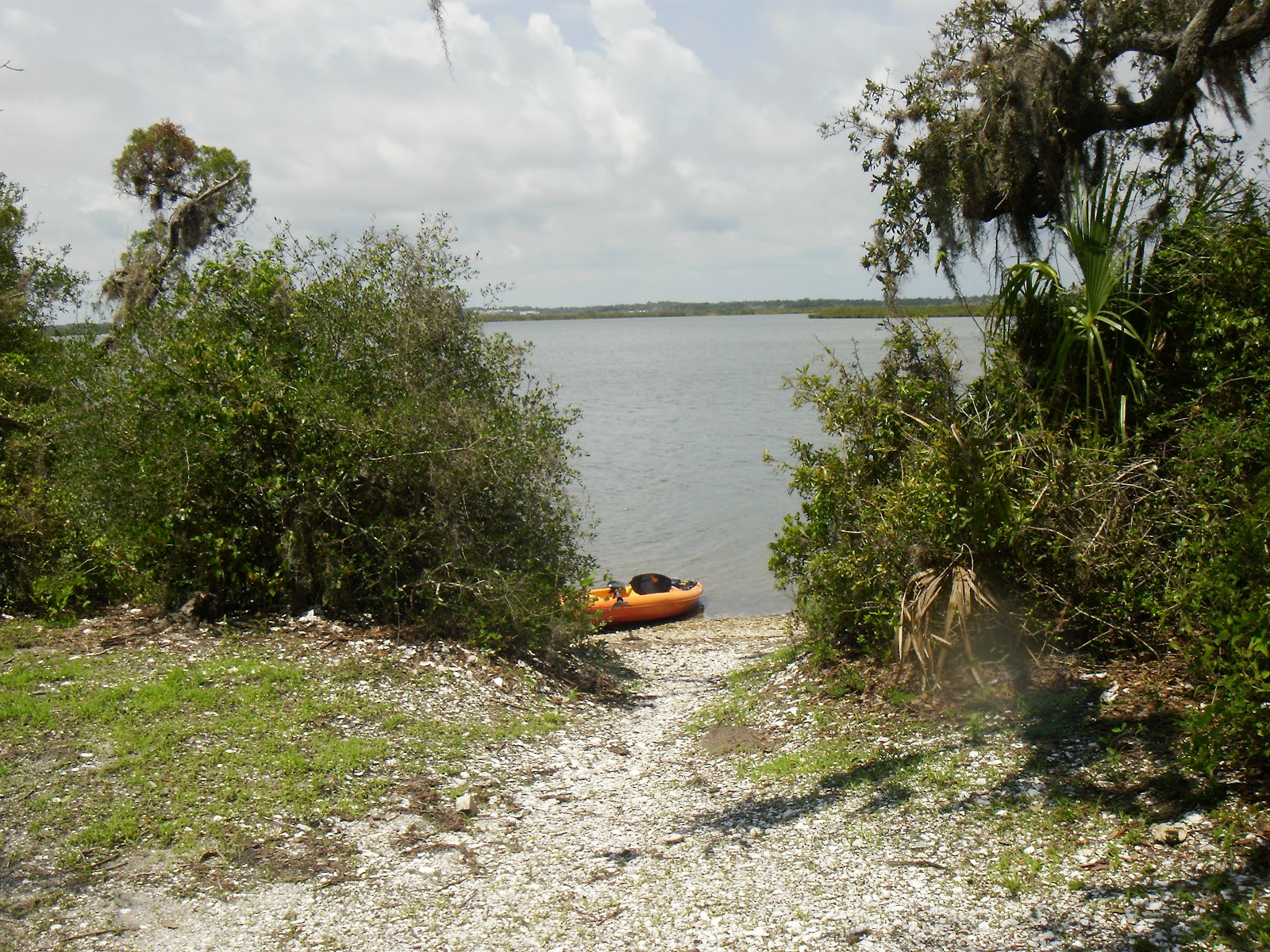 Kayaking Mosquito Lagoon / New Smyrna Beach When 140 Characters Just Doesn't Cut It...