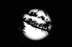 Der Vollmond vom 27.01.2013... Der Vollmond vom 27.01.2013...