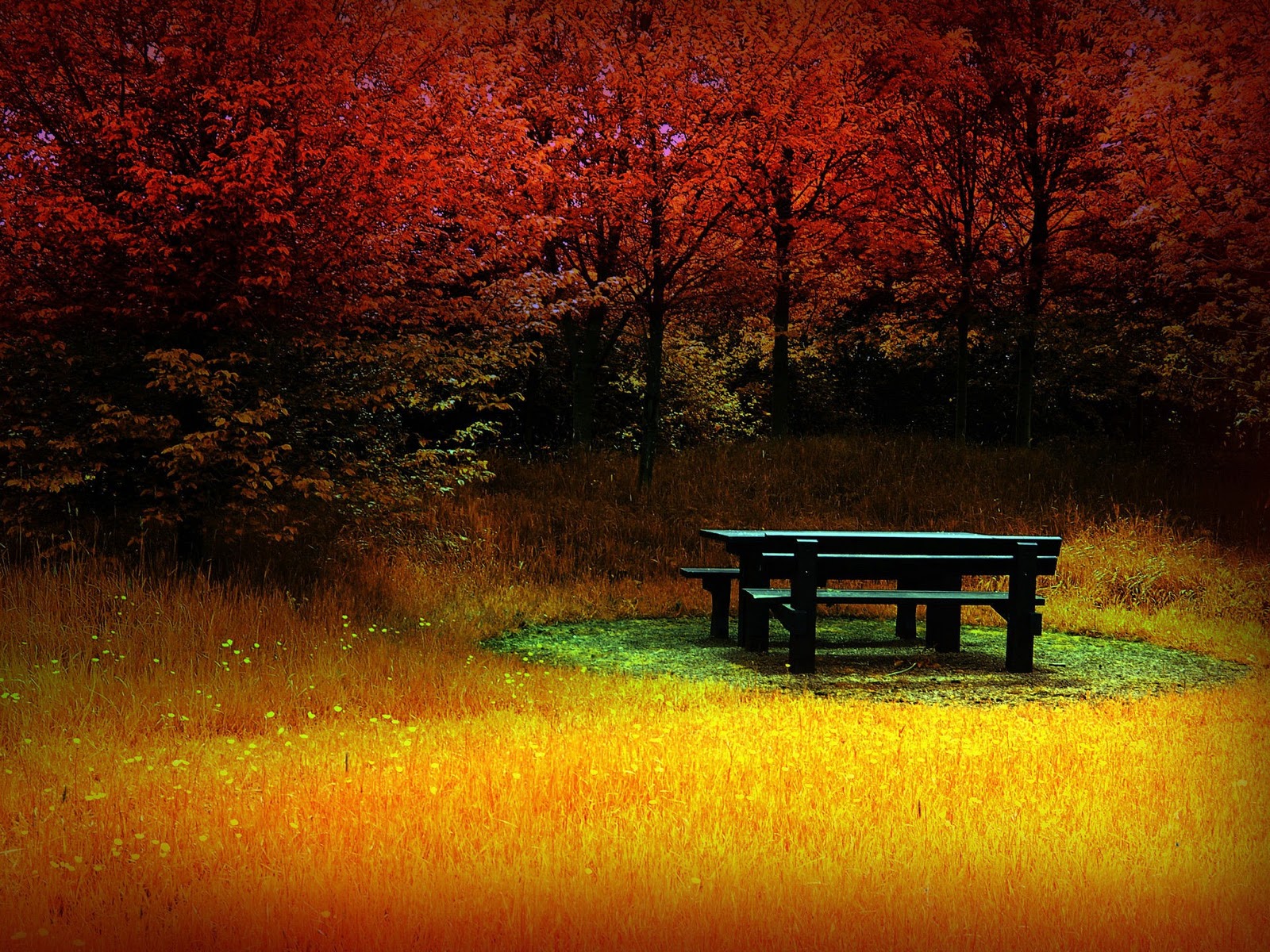 http://4.bp.blogspot.com/-AwZnjPHw70I/Tndi1MkQZ5I/AAAAAAAAG1U/k7z56OjV83Y/s1600/autumn+wallpaper2.jpg
