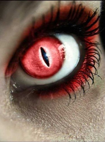 Modern & Stylish Eye Lenses Modern & Stylish Eye Lenses