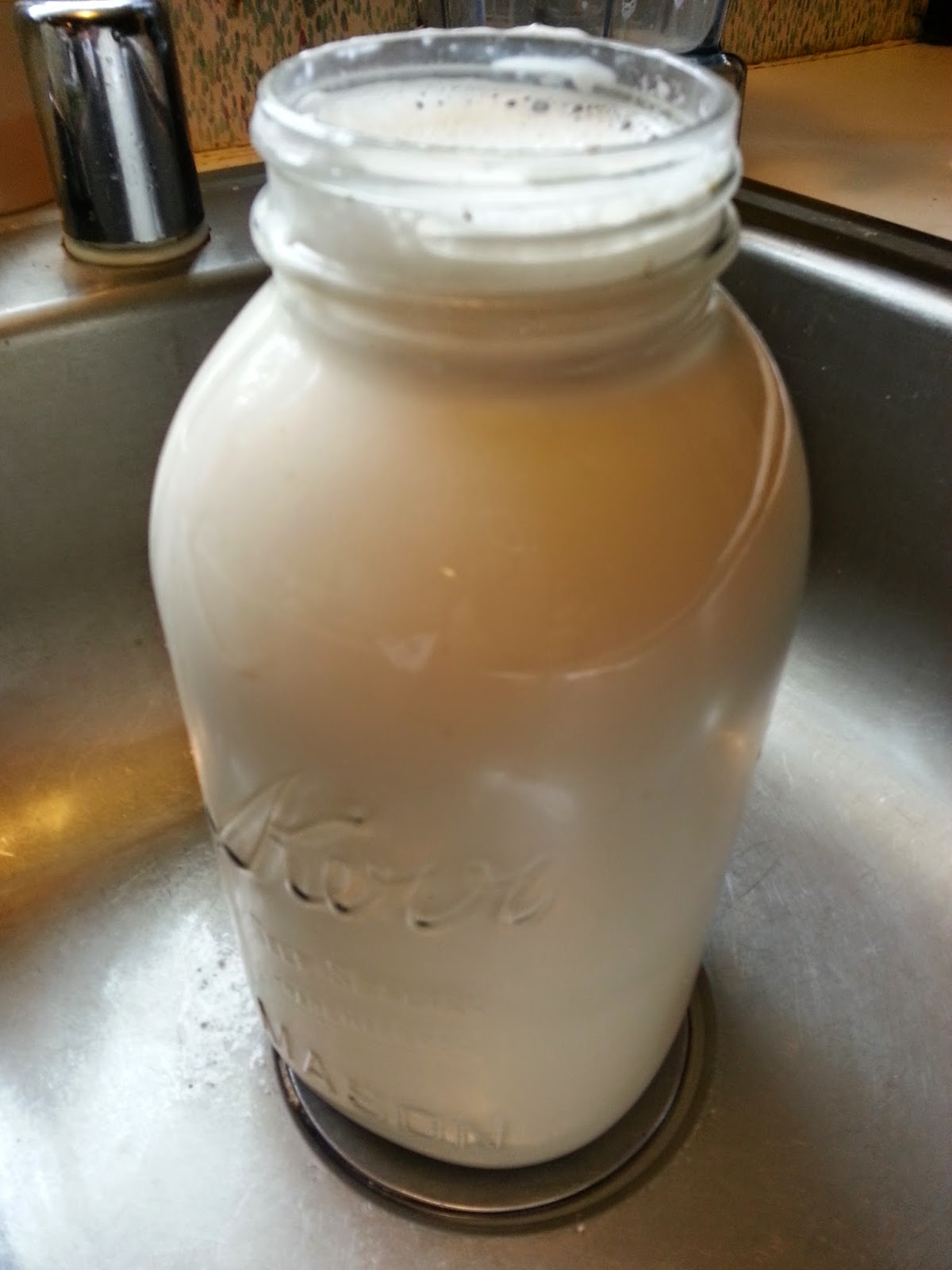 Patti's Place How to Make Your Own Healthy Almond Milk at Home