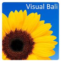 Visual Bali