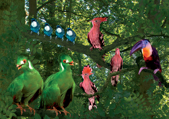 Tittifers In The Garden - take a of thread tittifers Tittifers In The Garden - take a of thread tittifers