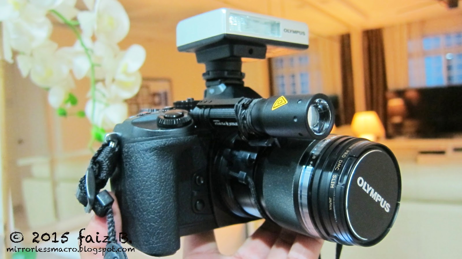 Mirrorless Macro Photography My Micro 4/3 Mirrorless Macro Equipments