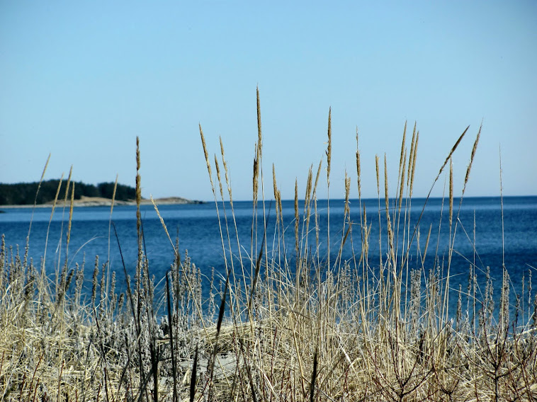 Western Shore, Nova Scotia