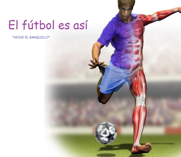 El fútbol es así (Desde el banquillo)