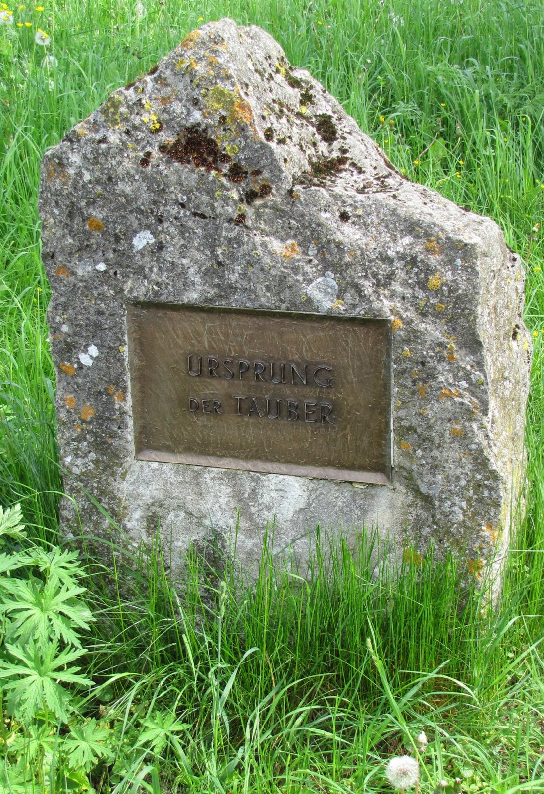 Rothenblog Ursprung der Tauber bei Weikersholz