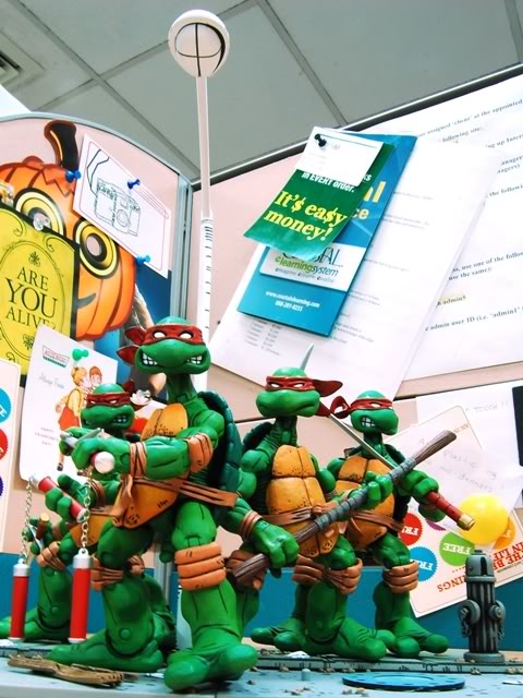 tmnt neca 2008