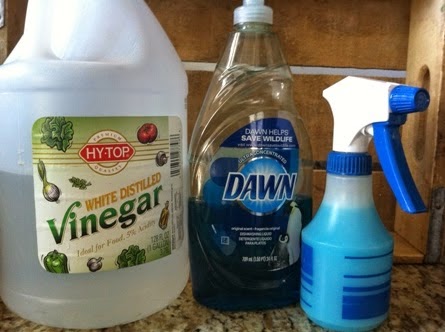 cooking recipes blue dawn and vinegar cleaning solution cooking recipes blue dawn and vinegar cleaning solution