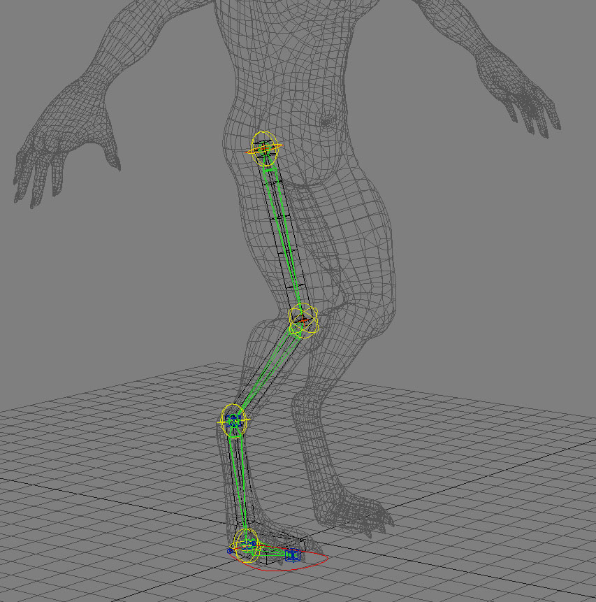 Master Project 3 bone leg chain or 2 bone leg chain?