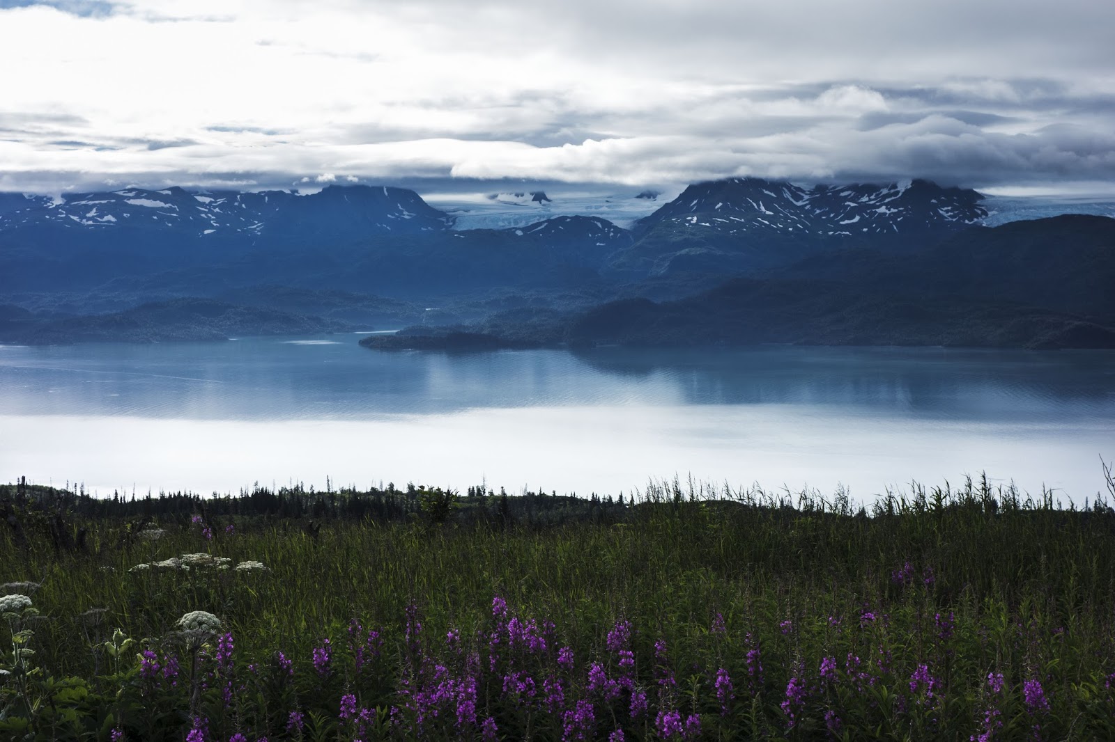 I'm Outta Here From Alaska to Chiang Mai