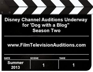 Disney Casting Dog With A Blog