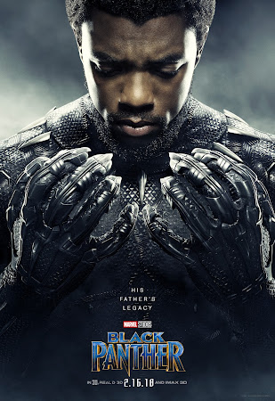 Poster Of Black Panther In Dual Audio Hindi English 300MB Compressed Small Size Pc Movie Free Download Only At www.cintapk.com