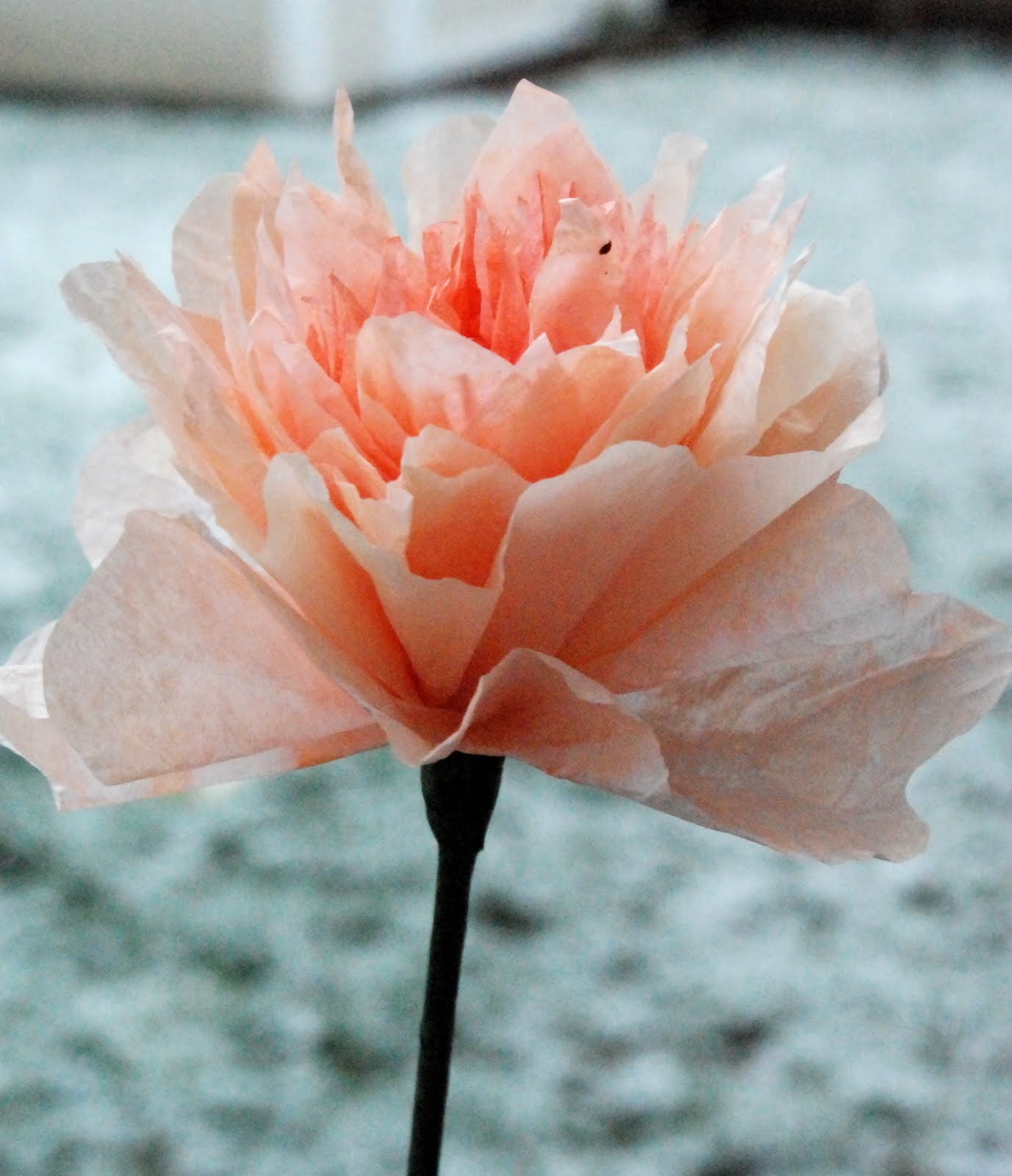 Homemade Serenity Why Don't You Make Coffee Filter Flowers