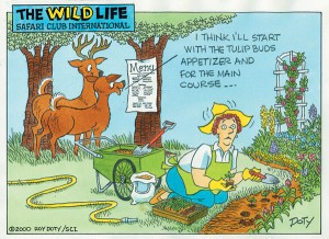 Two Men and a Little Farm: DEER IN THE GARDEN, FRIDAY FUNNY