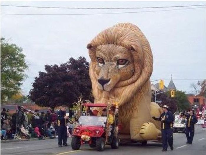 gambar perhimpunan kote bersih kuning singa penis