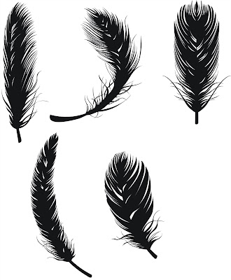 feathers vector