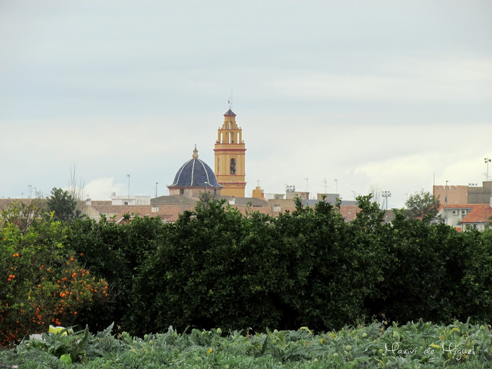 Albalat dels Sorells desde Mahuella Albalat dels Sorells desde Mahuella