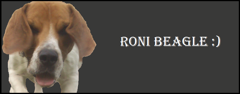 Roni beagle :)