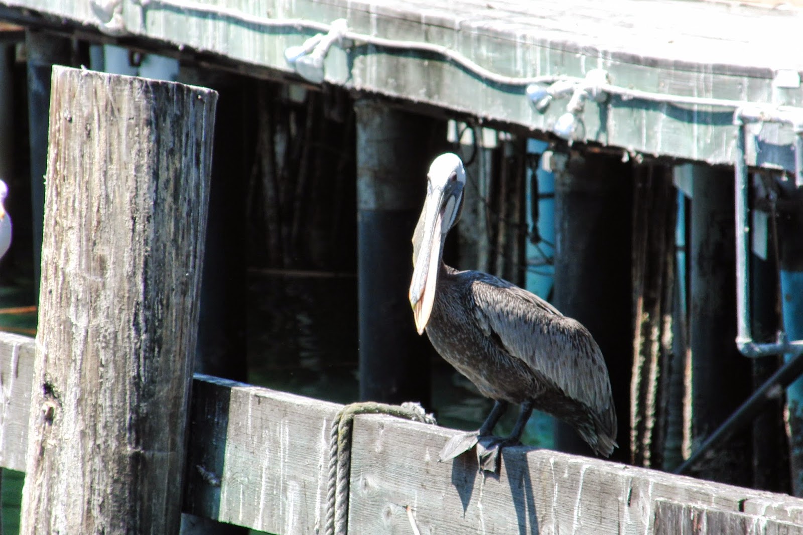 Monterey California