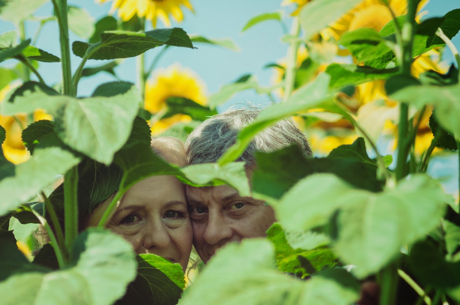 Olga&Sergey lovestory_8 семейный фотограф, предсвадебная фотосессия, летняя фотосессия, свадебный фотограф в Киеве, свадебная фотосессия, свадебные фотографии, съемка в поле