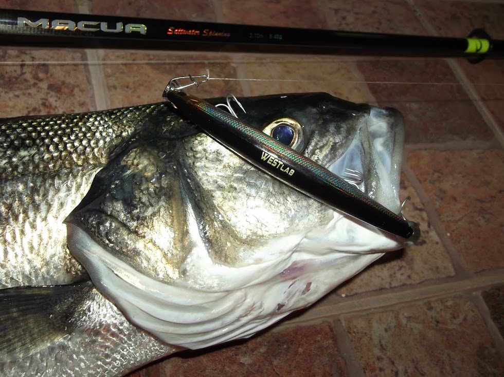 Pesca na Costa Alentejana