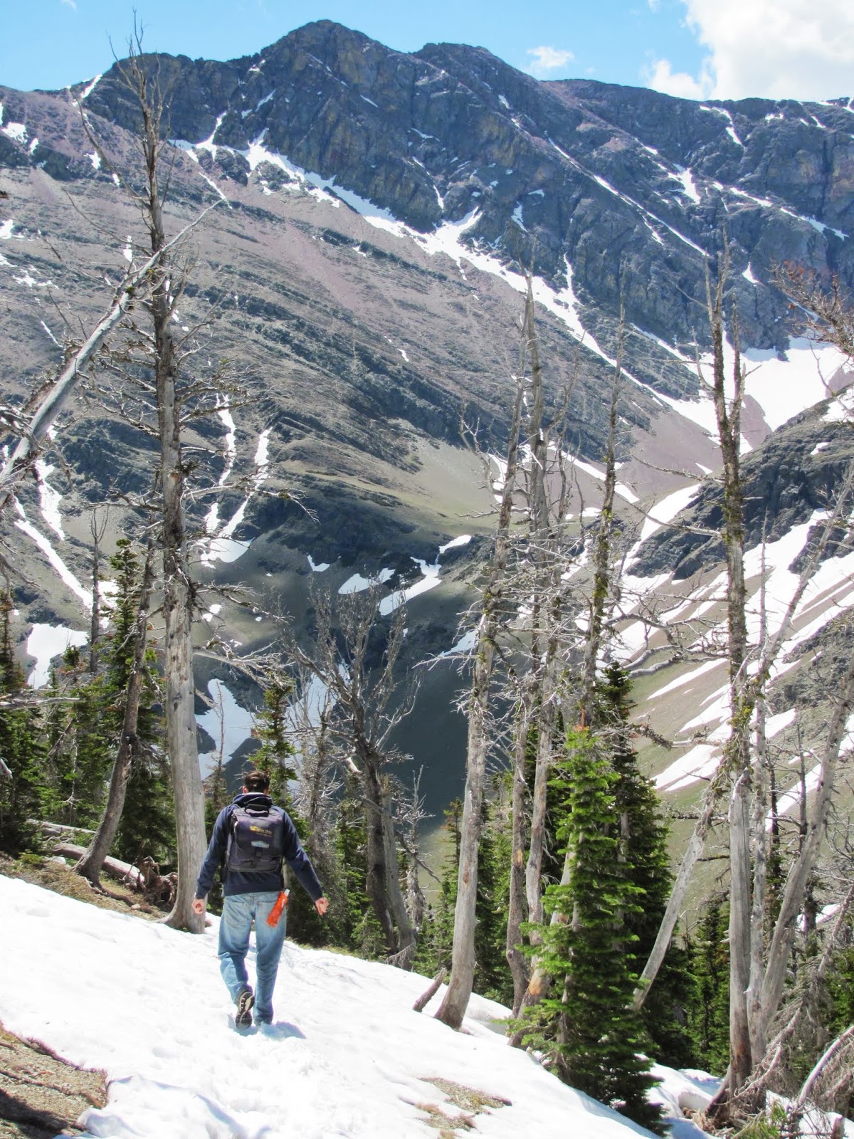 Walking Through the June Snow Cory carefully handles the June snowpack on the descent from Scenic Point at Two Medicine at Glacier National Park in Montana