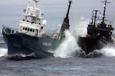 Sea Shepherd takes the battle back to the high seas