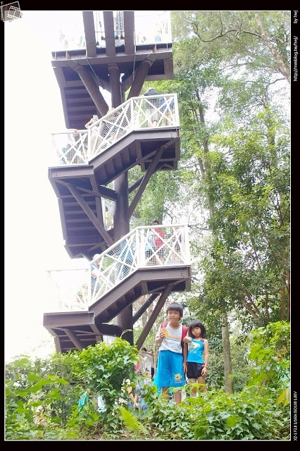 嘉義縣竹崎鄉親水公園萬竹博覽館-全新景點花仙子-天空步道啟用-千禧橋-弘景橋