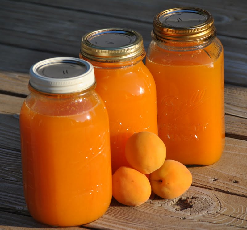 apricot nectar apricot nectar