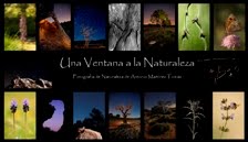 Una Ventana a la Naturaleza