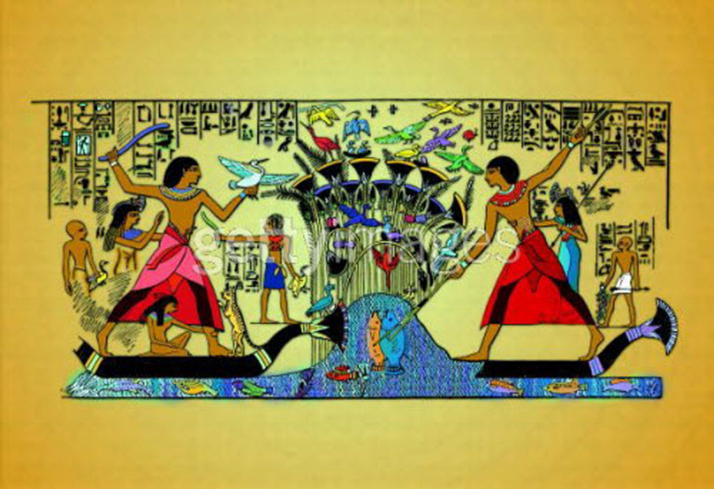 Industry Food Processing EGY KINGDOM