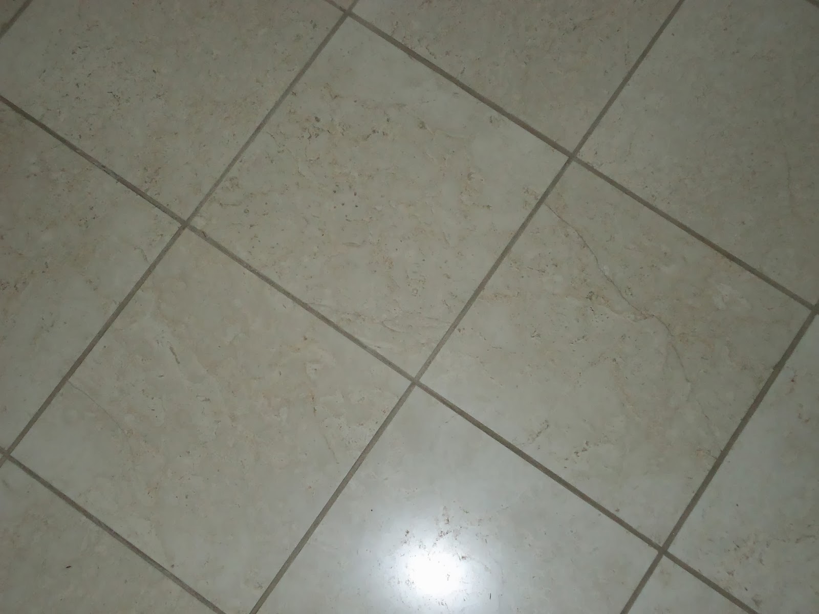 Oakwood's Geometry Hunters Congruent Squares