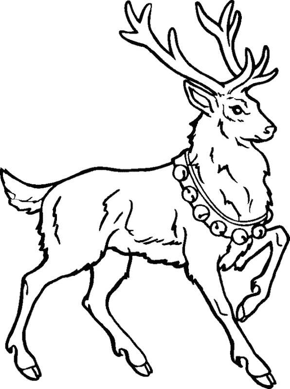 13 Christmas Reindeer Coloring Pages title=