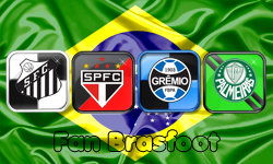 Escudos Brasileirão brasfoot 2011