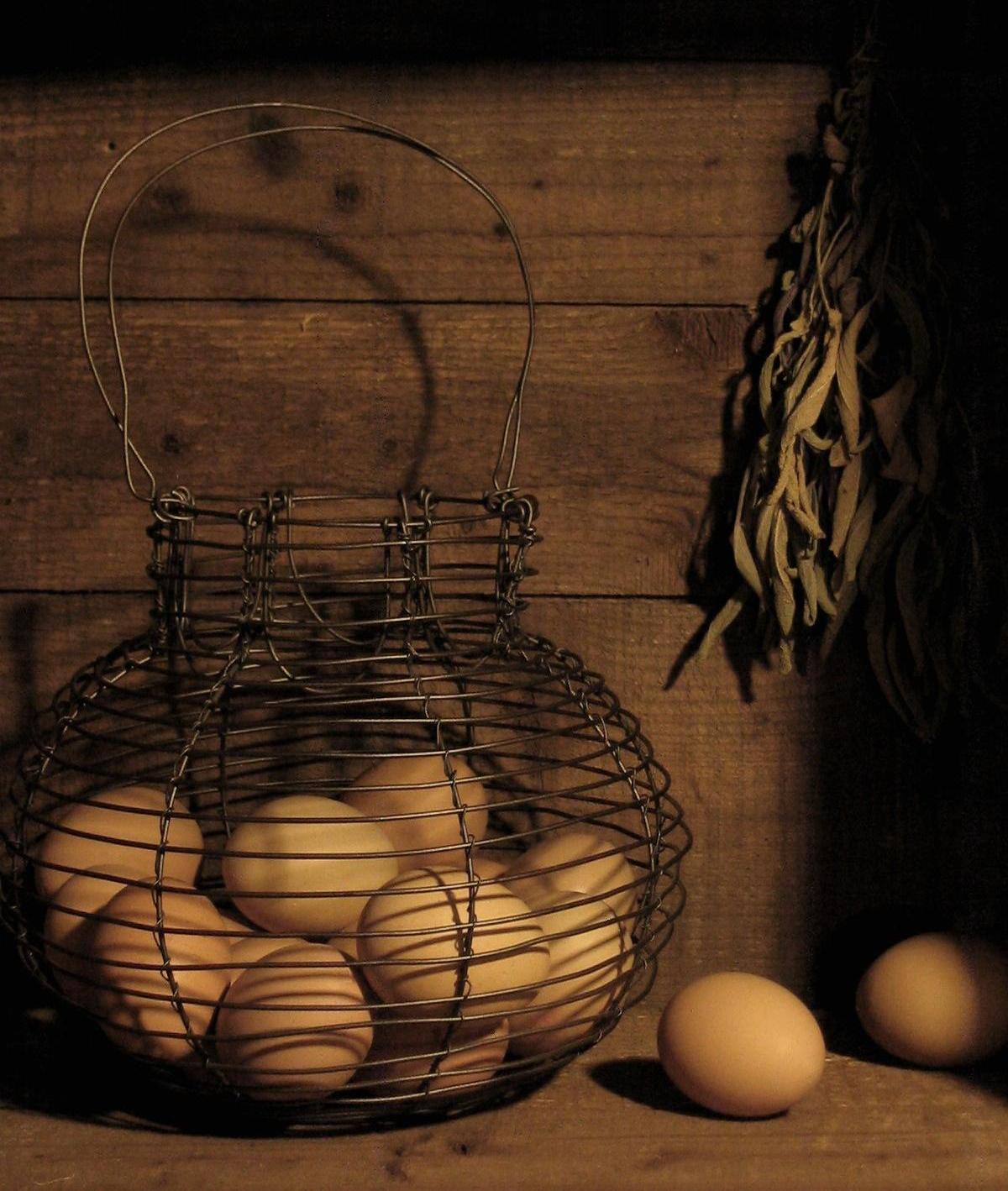 Daryl McMahon Wire Egg basket