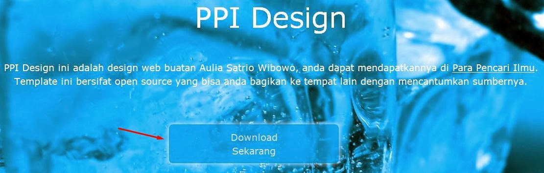 Template Web: PPI Design Template Web: PPI Design