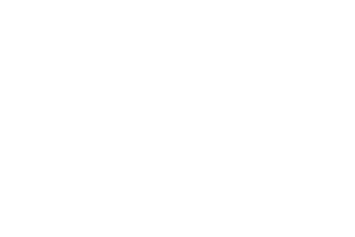 Venustas Indonesia