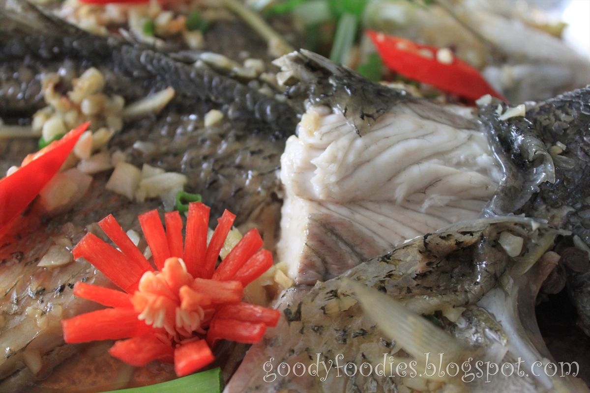 GoodyFoodies I cooked Steamed Siakap (barramundi) in Soy Sauce 清蒸鱼