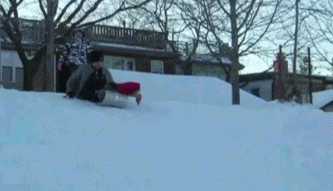 funny animal gifs, dog hijacked snowboard