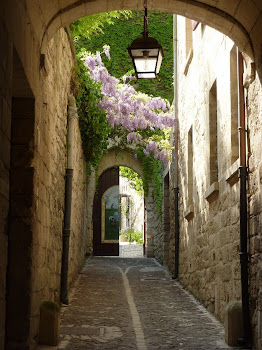 Saint-Rémy-de-Provence